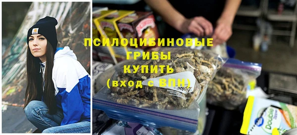 ПСИЛОЦИБИНОВЫЕ ГРИБЫ Баксан