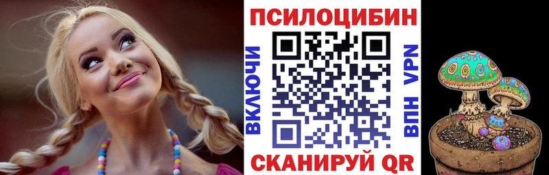 где найти наркотики  Ревда  Псилоцибиновые грибы мицелий 